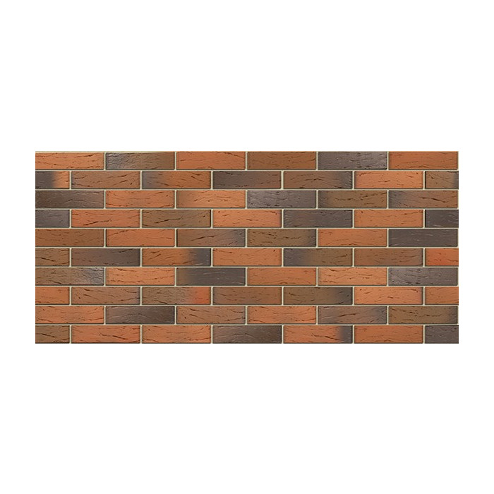 Кирпич БРАЕР кладка Глосса риф, 250х120х65 мм фото 2