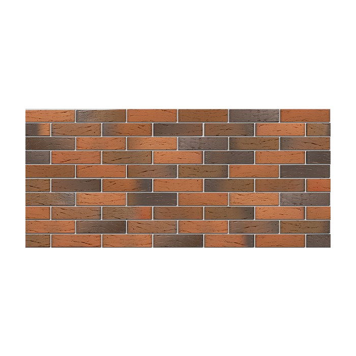 Кирпич БРАЕР кладка Глосса риф, 250х120х65 мм фото 6