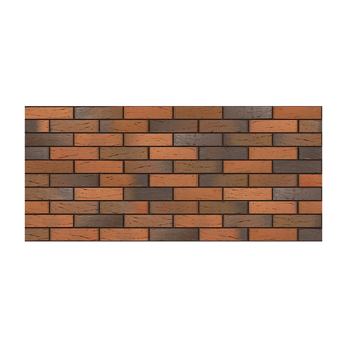 Кирпич БРАЕР кладка Глосса риф, 250х120х65 мм фото 4