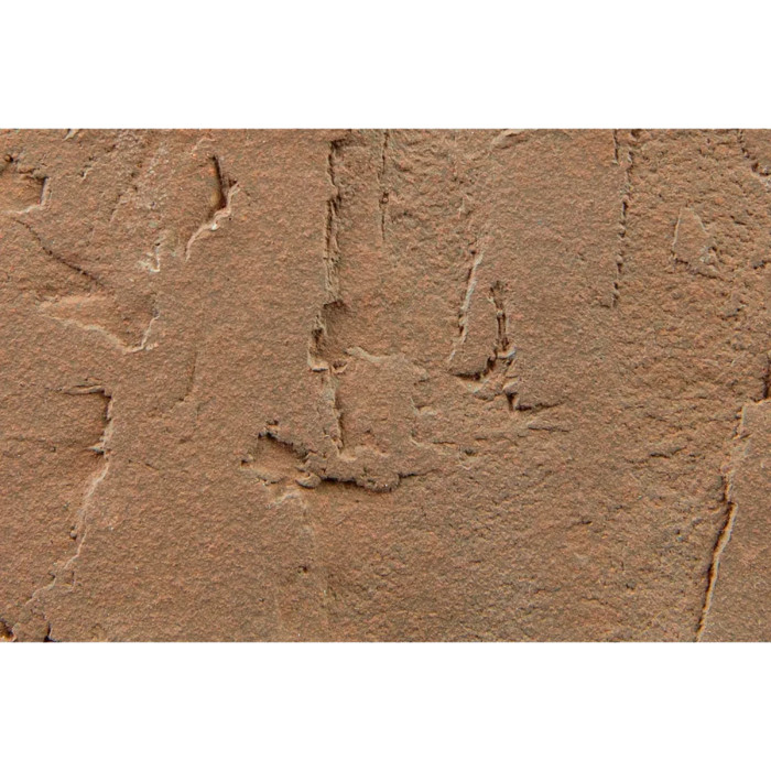 Кирпич БРАЕР кладка терра 250х120х88 мм фото 6