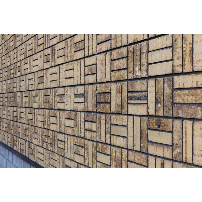 Кирпич облицовочный Terca Sussex Multi Gesinterd 210х100х50 мм фото 7