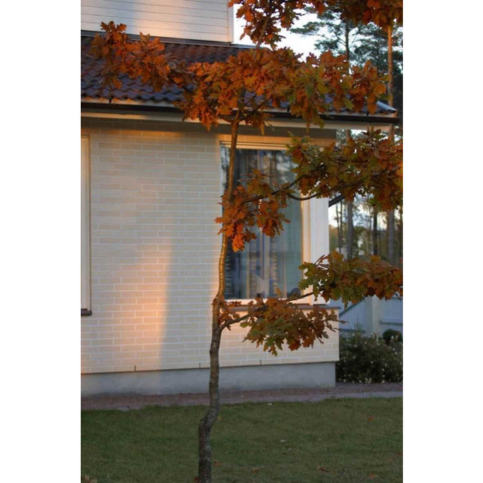 Кирпич облицовочный Terca Kuura гладкий, 250х85х65 мм фото 5