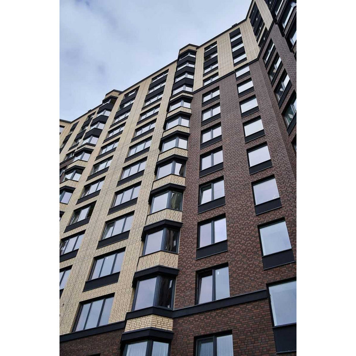 Кирпич облицовочный полнотелый Пятый элемент Мюнхен гладкий 250х120х65 мм фото 3