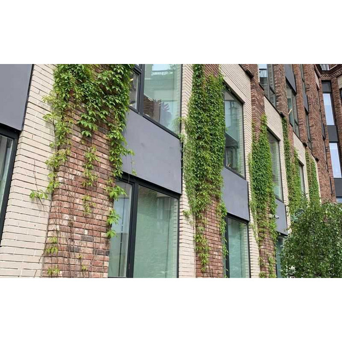 Кирпич облицовочный Terca Titan гладкий, 250х85х65 фото 5