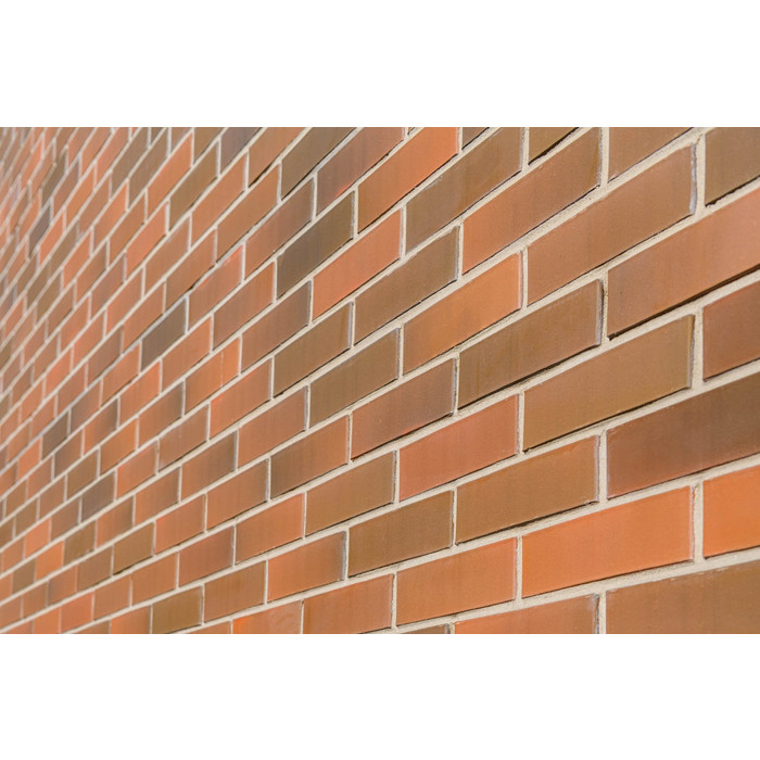 Кирпич BRAER облицовочный БРАЕР кладка гладкий, 250х120х65 мм фото 6