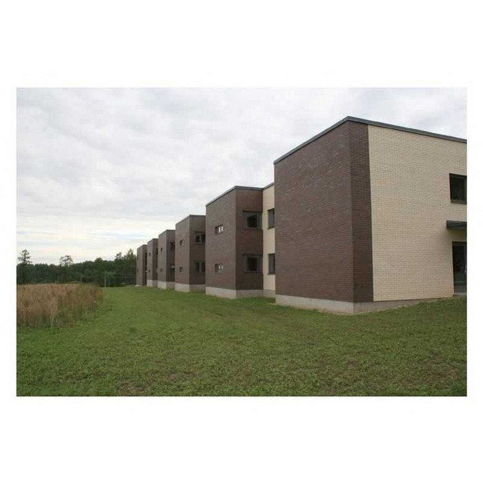 Кирпич Terca Terra flame редуцированный шероховатый облицовочный, 250х85х65 мм фото 5