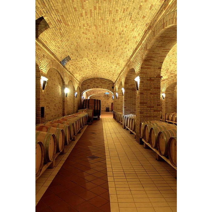 Кирпич S.Anselmo Superior Line Falmer Blend, 210х102х65 мм фото 4