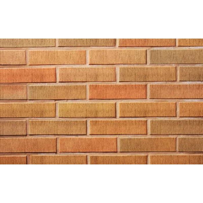 Кирпич облицовочный пустотелый Lode Asa Rudite шероховатый, 250х85х65 мм