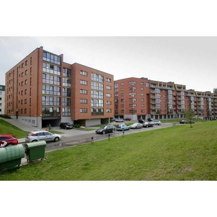 Кирпич облицовочный пустотелый Lode Janka гладкий, 250х85х65 мм фото 10