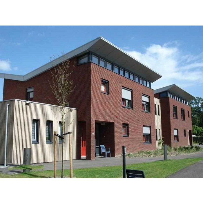 Кирпич облицовочный Terca Heukelom, 210х100х50 мм фото 10