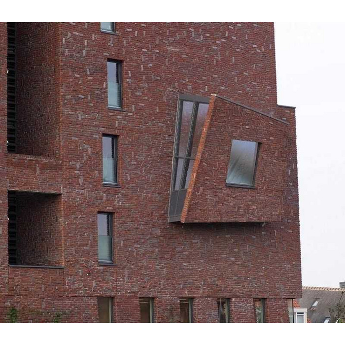 Кирпич облицовочный Terca Heukelom, 210х100х50 мм фото 8