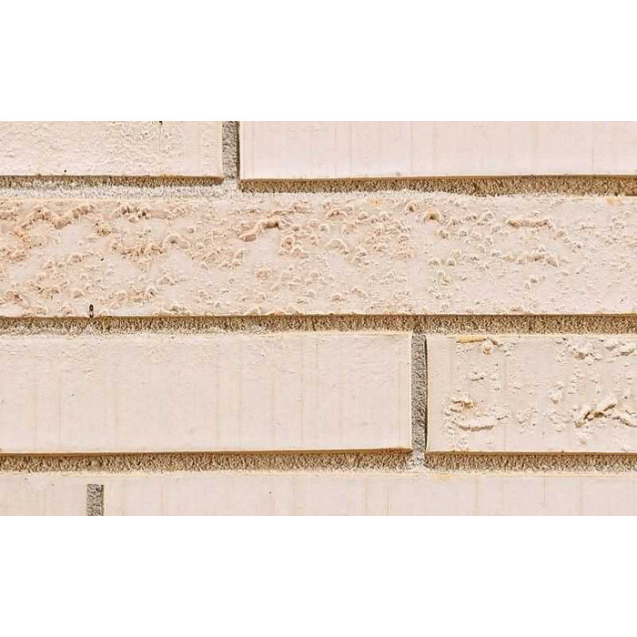 Кирпич облицовочный Terca Elignia Nordica, 288х90х48 мм фото 4