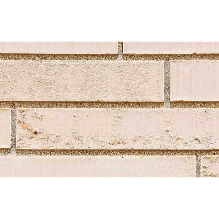 Кирпич облицовочный Terca Elignia Nordica, 288х90х48 мм фото 3