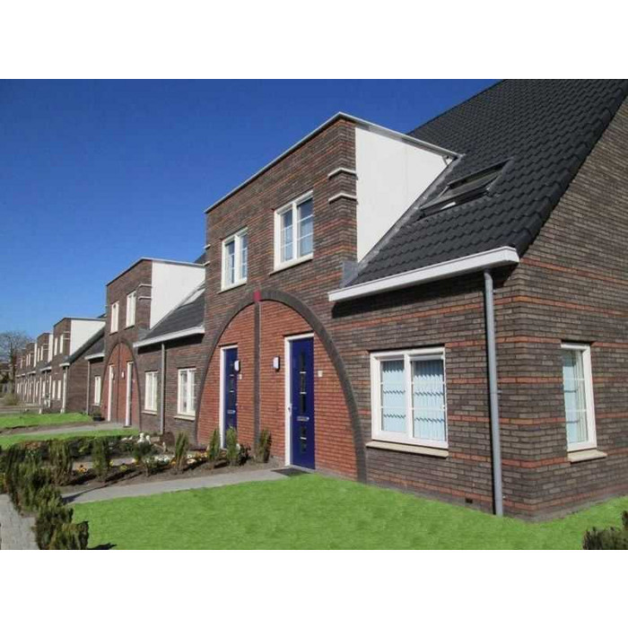 Кирпич облицовочный Terca Topaas, 210х100х50 мм фото 7