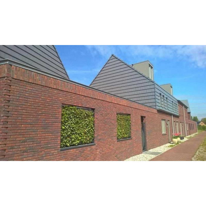 Кирпич облицовочный Terca Agena, 210х100х50 мм фото 7