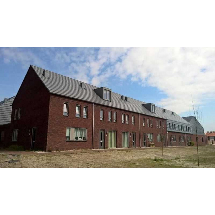 Кирпич облицовочный Terca Agena, 210х100х50 мм фото 6