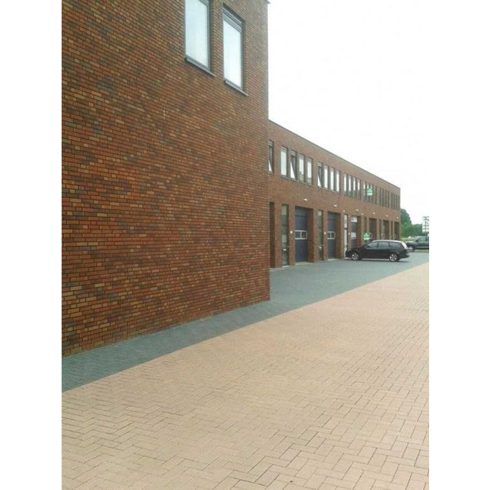 Кирпич облицовочный Terca Aardenrood Gereduceerd Fantasy, 215х102х65 мм фото 2