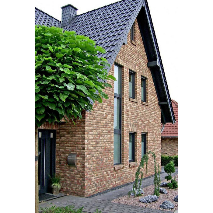 Кирпич облицовочный Muhr Nr 38, Mediterran, 240х115х71 мм фото 5