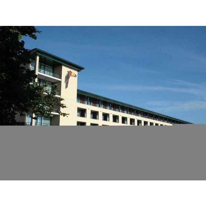 Кирпич облицовочный Terca Wit, 210х100х50 мм фото 4