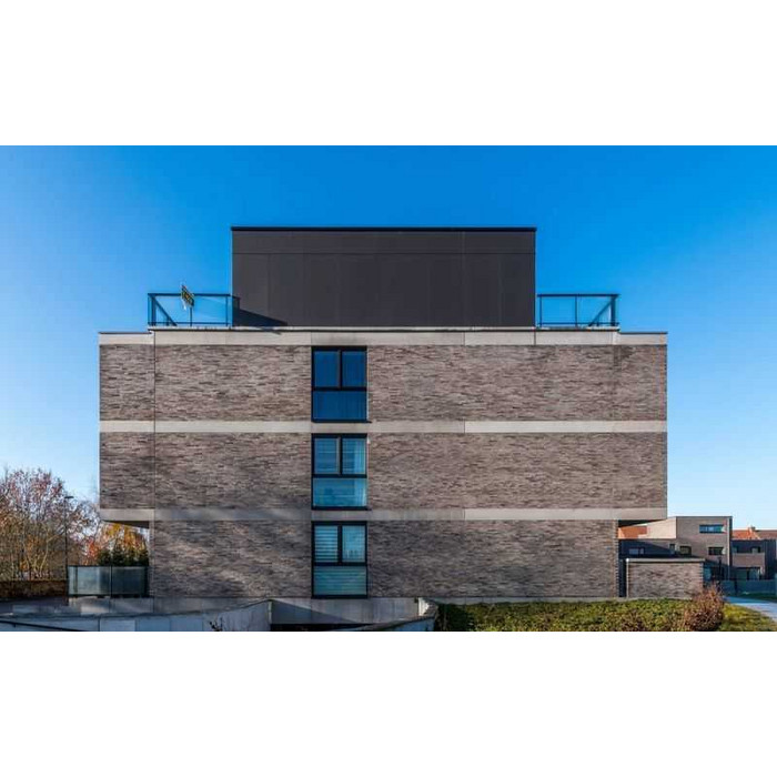 Кирпич облицовочный Terca Elignia Magma, 288х90х48 мм фото 8