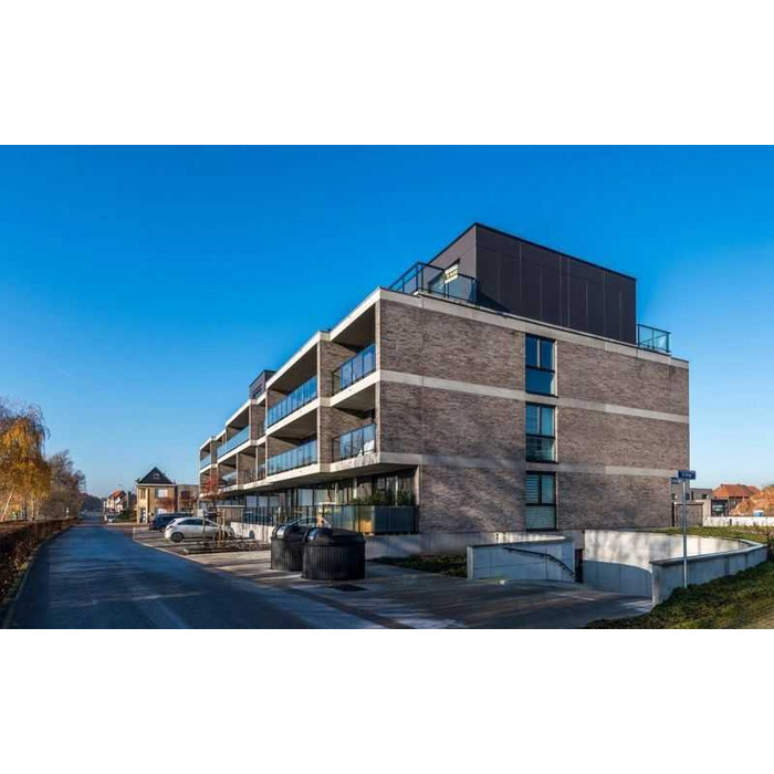 Кирпич облицовочный Terca Elignia Magma, 288х90х48 мм фото 7