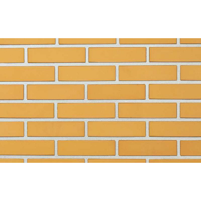 Кирпич облицовочный пустотелый Lode Dzintra гладкий, 250х120х65 мм