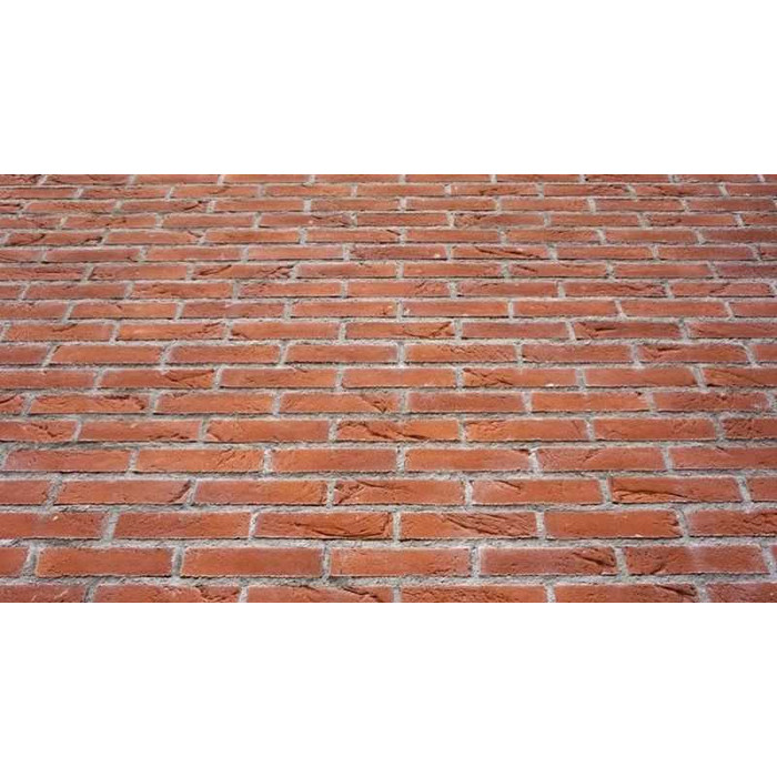 Кирпич облицовочный Terca Punainen, 285х85х60 мм фото 3