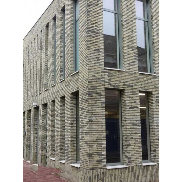 Кирпич облицовочный Terca Metaal Goud, 210х100х50 мм фото 2