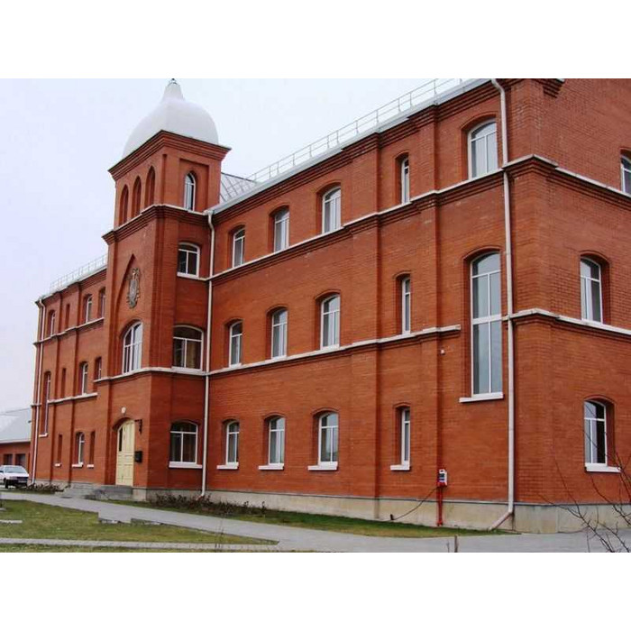 Кирпич облицовочный пустотелый Lode Vecais Janka, 250х120х65 мм фото 4