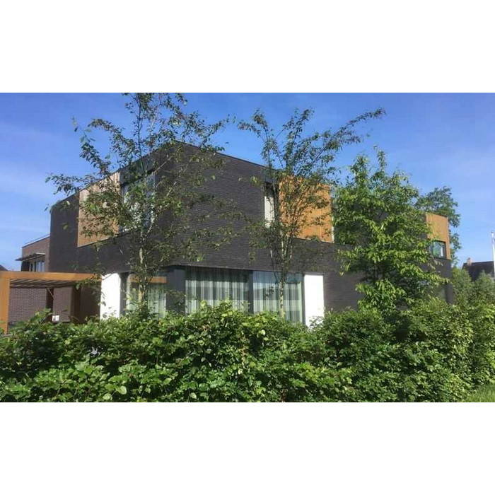 Кирпич облицовочный Terca Upwood 240х90х40 мм фото 2