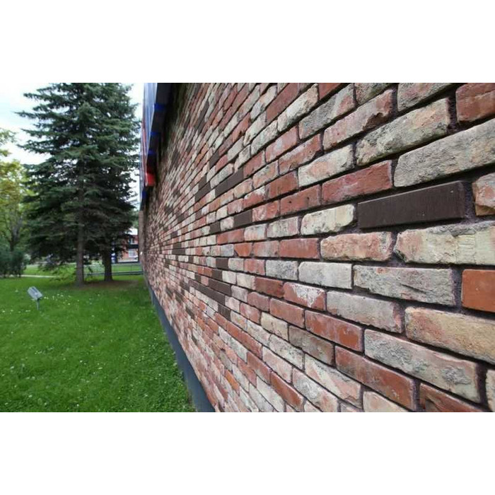 Кирпич облицовочный пустотелый Lode Asais Brunis шероховатый, 250х85х65 мм фото 7