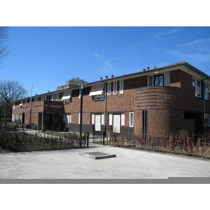 Кирпич облицовочный Terca Pioenroos Handvorm, 210х100х50 мм фото 2