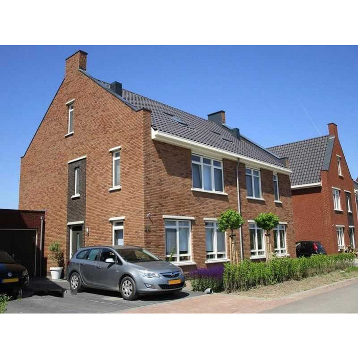 Кирпич облицовочный Terca Pioenroos Handvorm, 210х100х50 мм фото 10