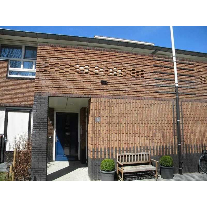 Кирпич облицовочный Terca Pioenroos Handvorm, 210х100х50 мм фото 4