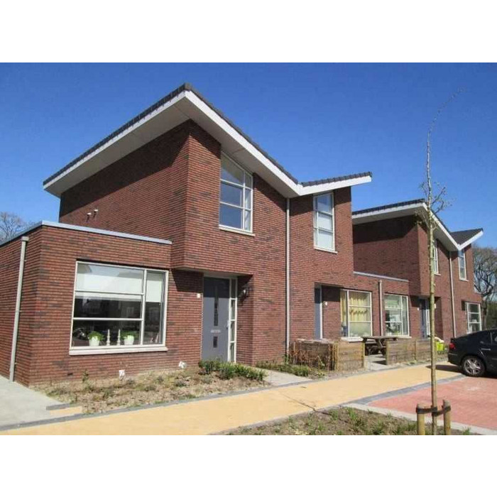 Кирпич облицовочный Terca Malva Exclusief (Wasserstrich), 210х100х50 мм фото 7