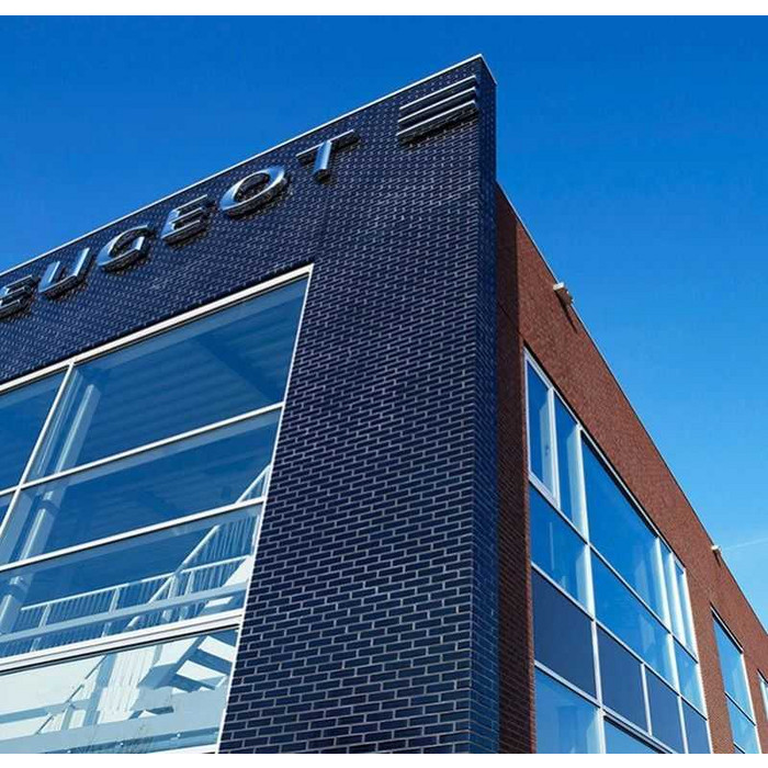 Кирпич облицовочный Terca Crystal Blauw SP, 210х100х50 мм фото 5