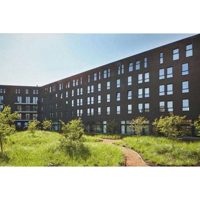 Кирпич облицовочный Terca Ombra, 215х45-50х65 мм фото 5