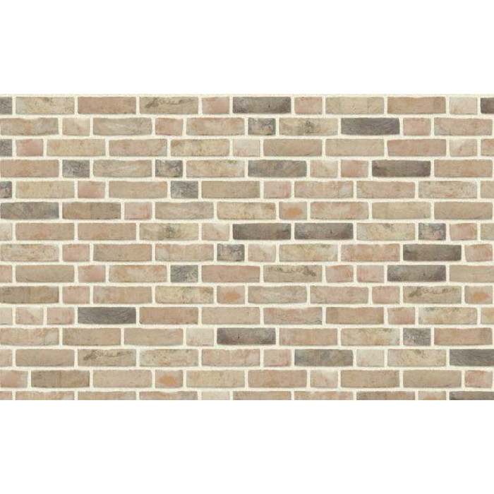 Кирпич облицовочный Nelissen GOYA, 215х50х65 мм