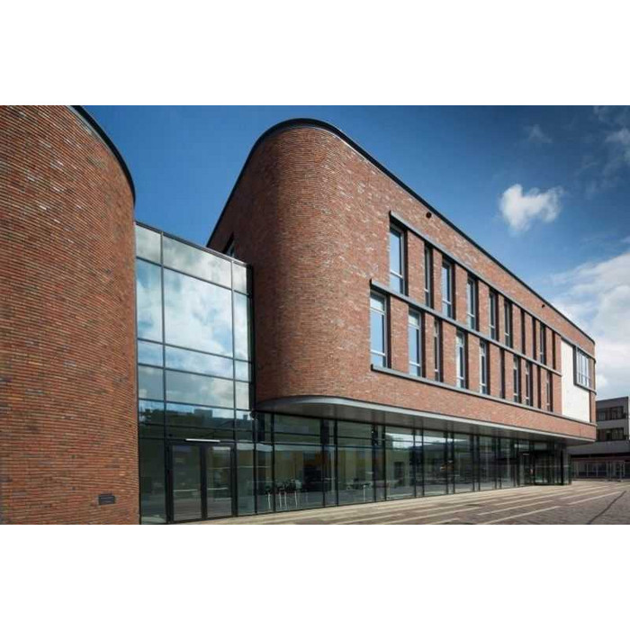 Кирпич облицовочный Terca Winhov Falls 210х100х50 мм фото 2