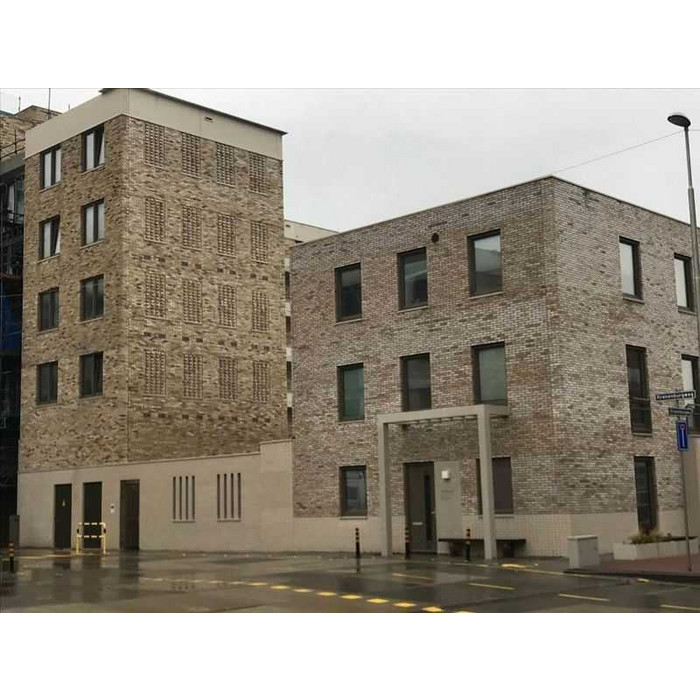 Кирпич облицовочный ENGELS Ladoga, 209х101х50 мм фото 2