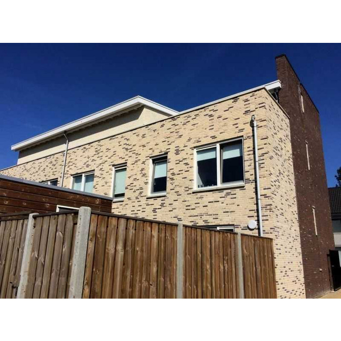 Кирпич облицовочный ENGELS Thar, 210х100х65 мм фото 3