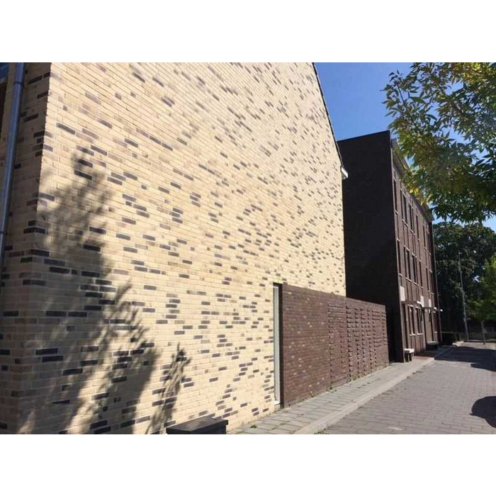 Кирпич облицовочный ENGELS Thar, 210х100х65 мм фото 4