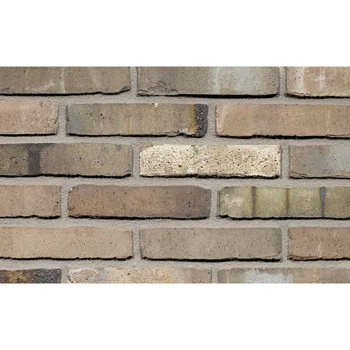 Кирпич облицовочный Terca Virtua, 210х100х50 мм