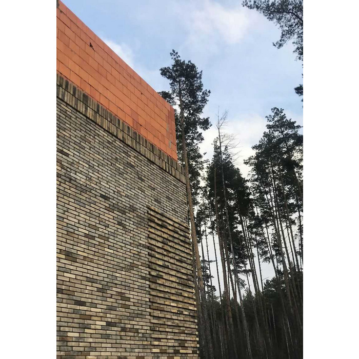 Кирпич облицовочный ENGELS Ogenagaat, 213х101х50 мм фото 8