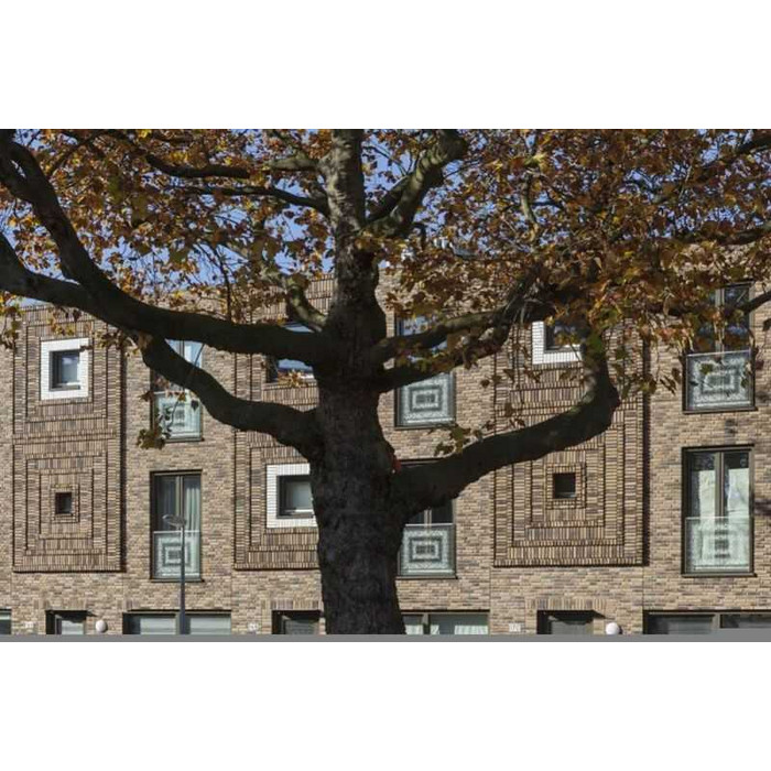 Кирпич облицовочный ENGELS Ogenagaat, 213х101х50 мм фото 10