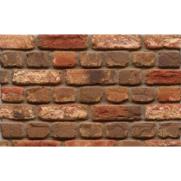 Кирпич облицовочный Muhr Nr 35, Holstein Barock gerumpelt, 210х100х65 мм