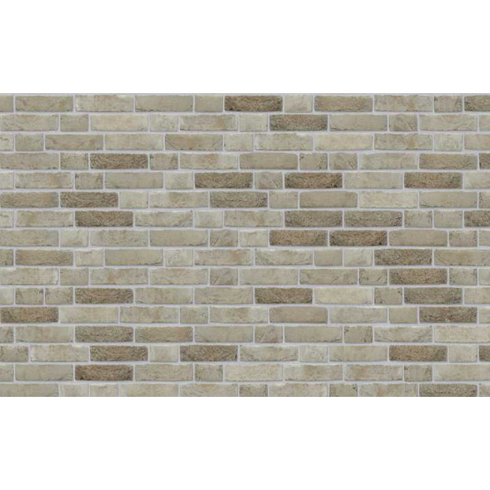 Кирпич облицовочный Nelissen CAP GRIS NEZ, 215х50х65 мм