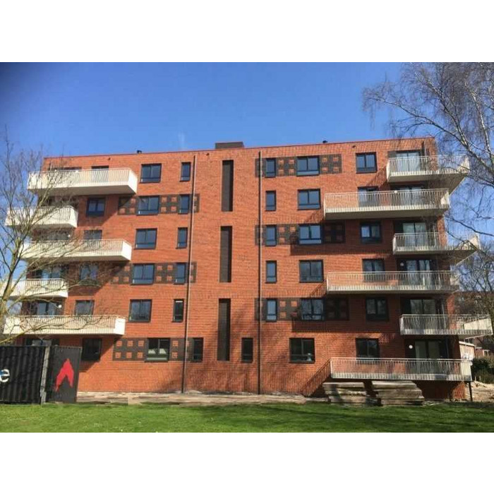 Кирпич облицовочный Terca Iris Falls 210х100х50 мм фото 4