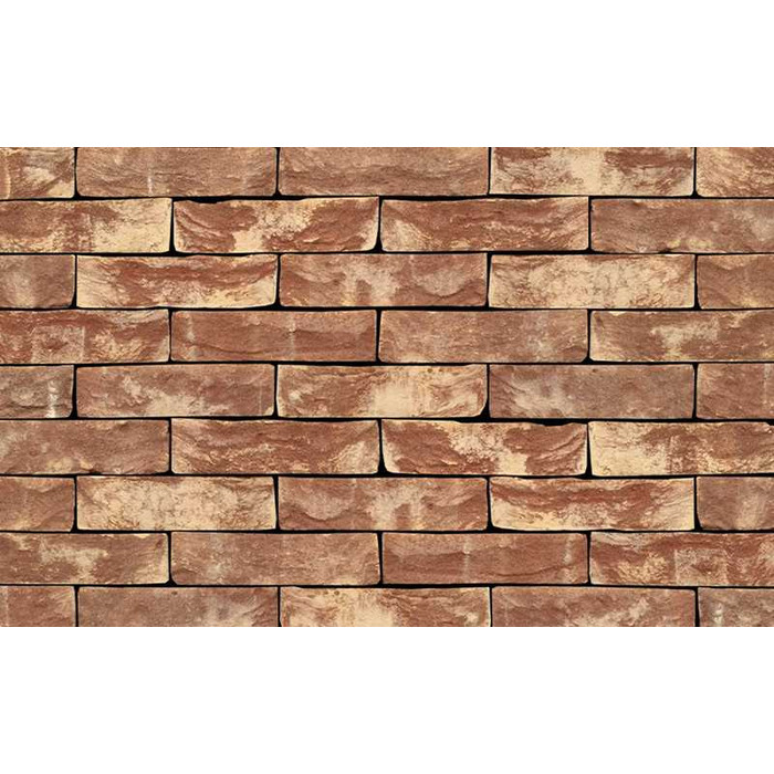 Кирпич S.Anselmo Superior Line Algeria, Selmo, 250х120х55 мм