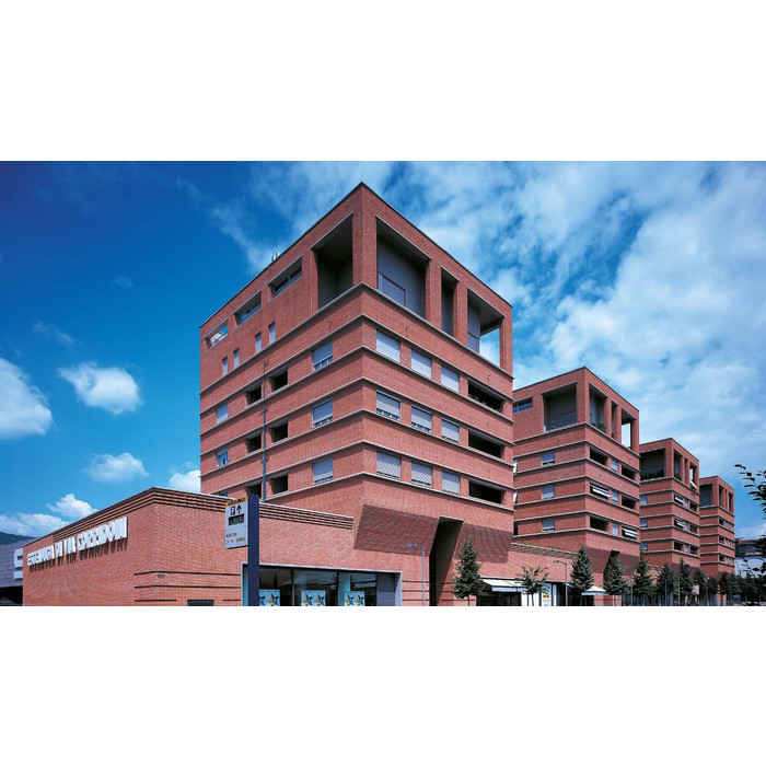 Кирпич S.Anselmo Superior Line Damasco Bruciato, Selmo, 250х120х55 мм фото 3